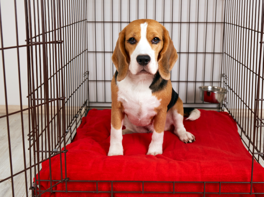 Crate-padding-for-dogs