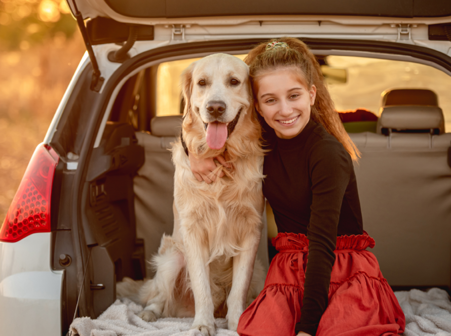 dog-crates-for-car