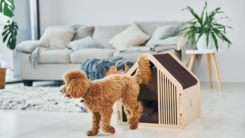 xxl-dog-crate-furniture