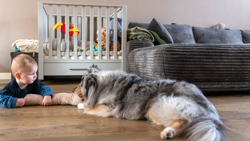 xxl-dog-crate-furniture