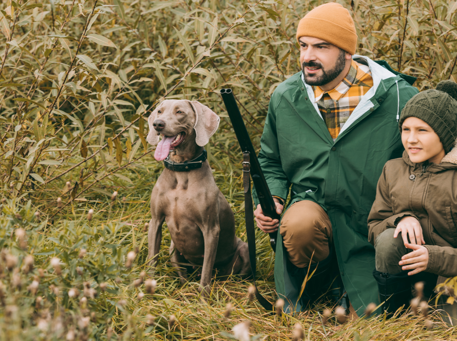 Dog-Crates-for-Hunting