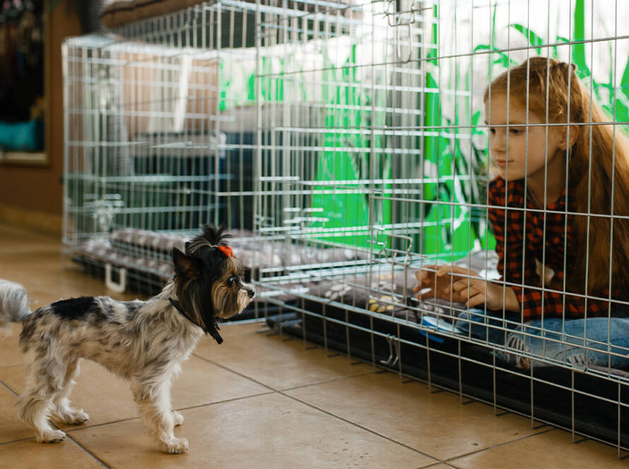 biggest-crate-for-dogs